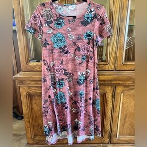 LuLaRoe Rose Pink Floral Carly Swing Dress l Size XS